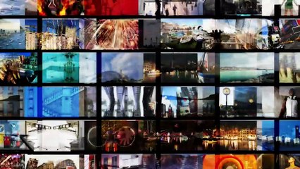 The fly that became star of the US vice presidential debate