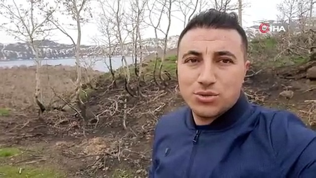 Tabiat ana yeniden kazandı! Geçen sene kül olmuştu, doğa küllerinden geri doğdu