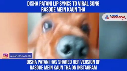 Disha Patani Song New