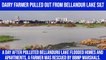 BBMP marshals rescue dairy farmer from Bellandur lake bed; video goes viral