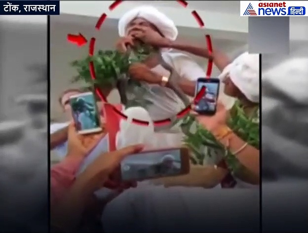जीभ पर किंग कोबरा से डसवाने के बाद यूं झूमने लगा यह शख्स, वीडियो वायरल