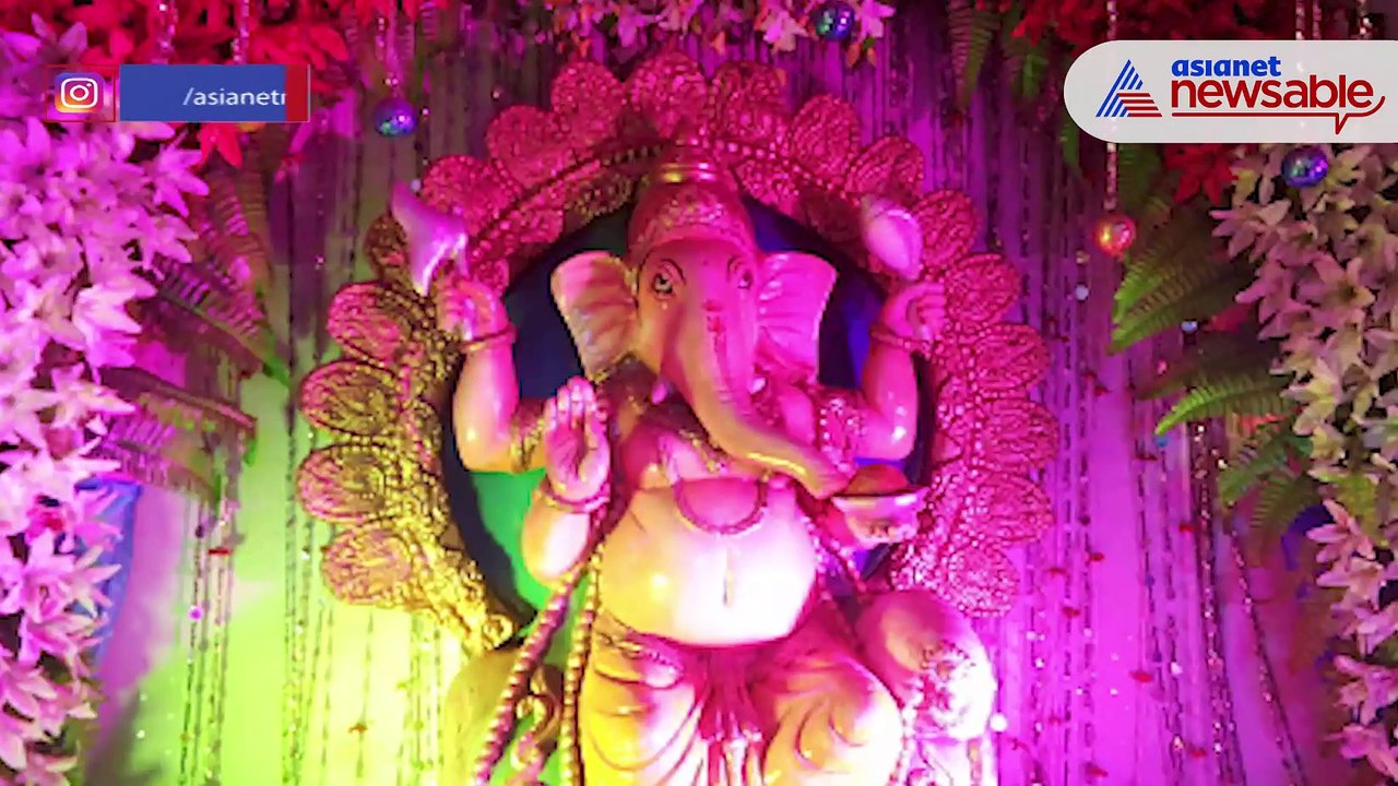 Publicity Ganesha Idol