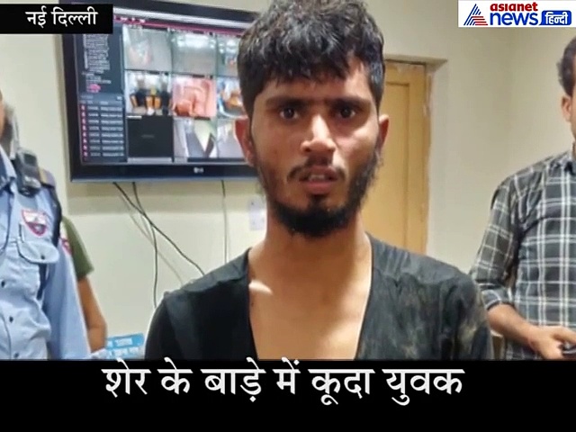 दिल्ली के चिड़ियाघर में शेर के बाड़े में कूदा युवक, कुछ देर बाद थे दोनों आमने-सामने