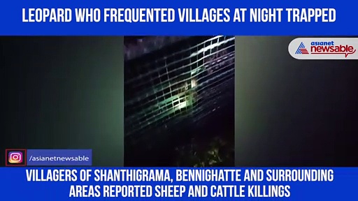 Leopard which terrorised villagers trapped in cage; relief for residents who lost livestock