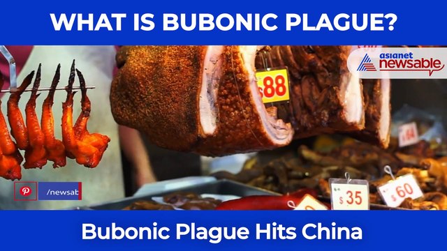 Bubonic Plague Alert In China: What is Bubonic Plague