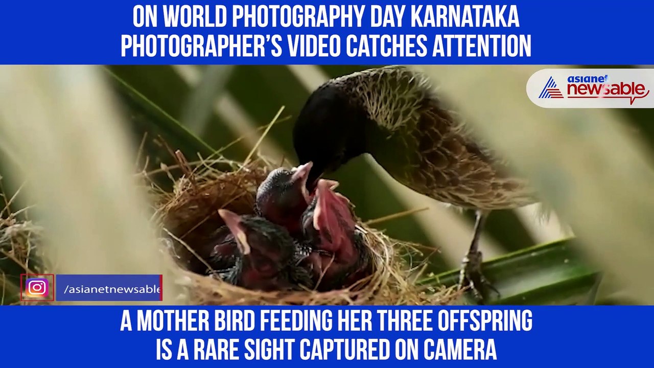 World photographers Day
