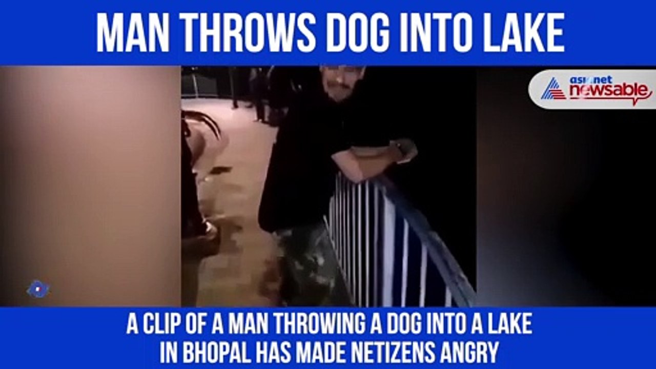 Man throws the dog