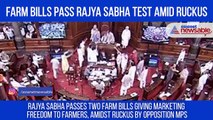 Two Farm Bills Pass Rajya Sabha Test Amid Ruckus