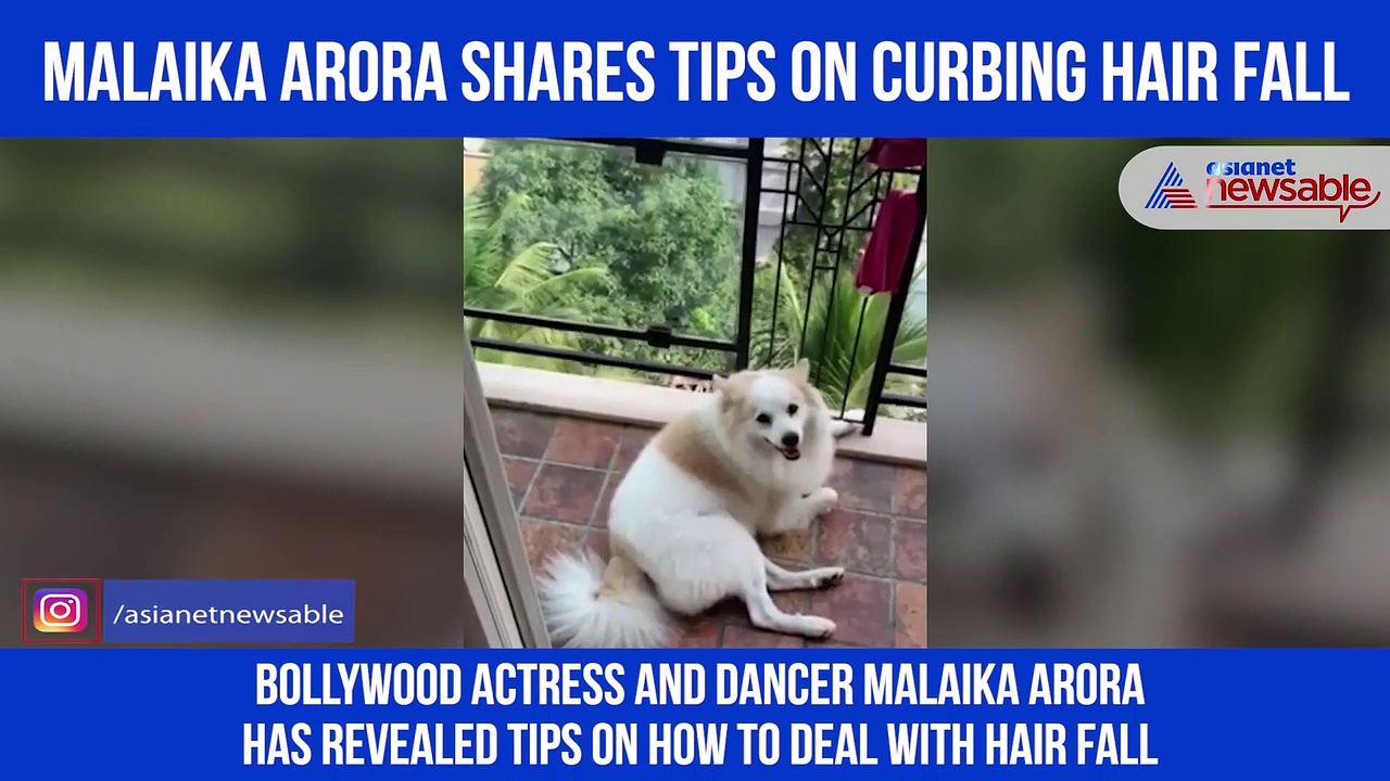 Malaika Arora shares remedy to curb hair loss