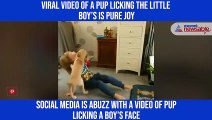 Viral video: Puppy playing with little boy will melt hearts