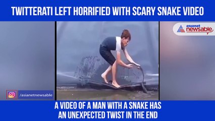 Scary snake video