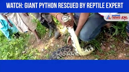 Python Rescued