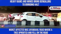 HL: Heavy rains and winds bring Bengaluru to grinding halt