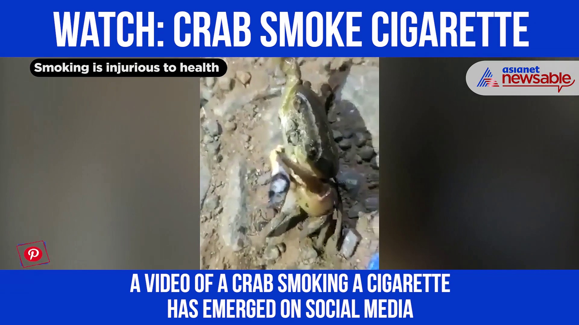 Video of crab smoking cigarette goes viral; netizens baffled