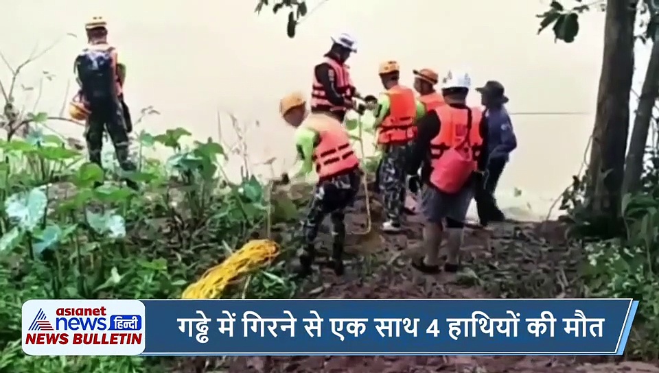 बच्चे को बचाने के लिए एक के बाद एक 4 हाथियों की मौत, देखिए आज की ऐसी ही 5 वायरल खबरें