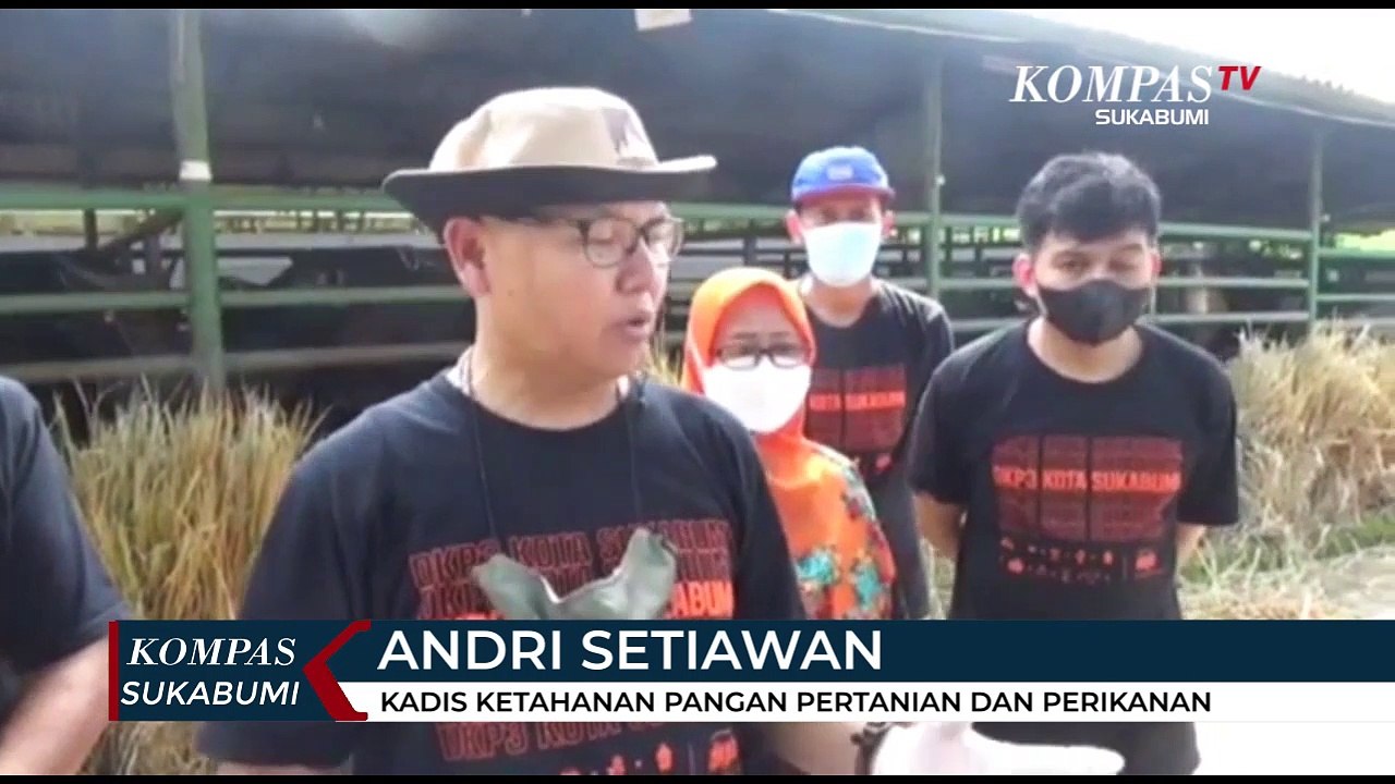 Petugas Perketat Penjualan Hewan Ternak