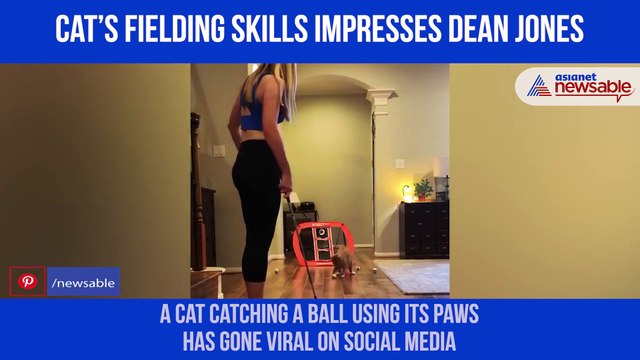 Cat Fielding