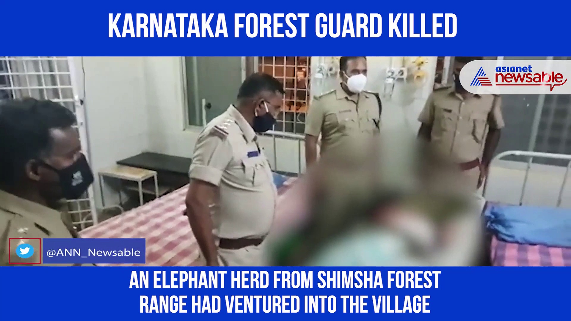 Karnataka forest guard killed in accidental firing by colleague while chasing elephants