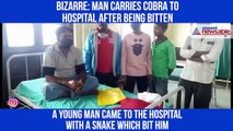 Man carries cobra to hospital