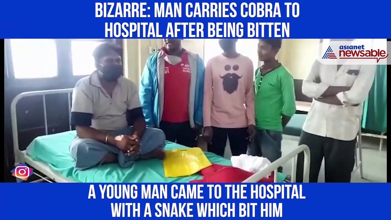 Man carries cobra to hospital