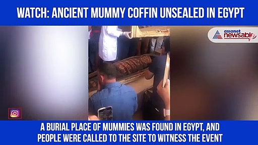 Watch: Archaeologists open over 2500-year-old mummy coffin in Egypt; video goes viral