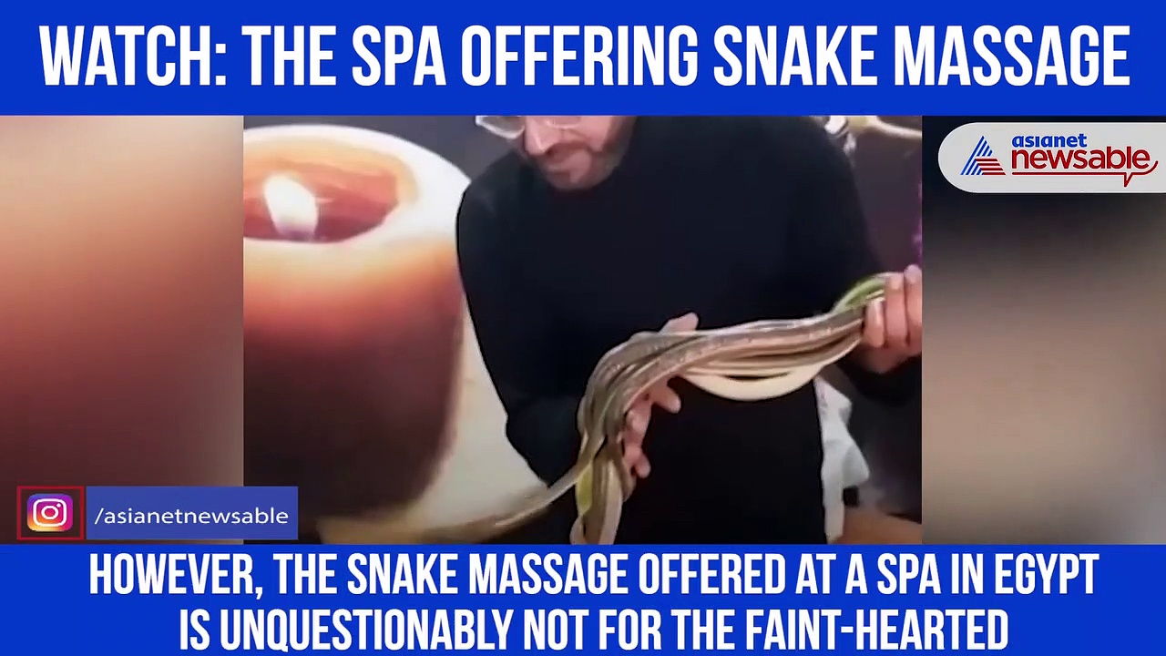 Snakes on your body? This spa in Egypt offers a python massage