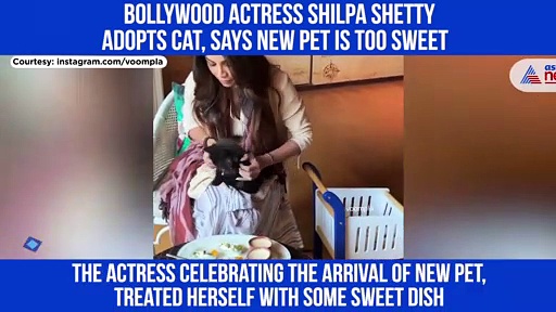 Bollywood actress Shilpa Shetty adopts cat, says new pet is too sweet