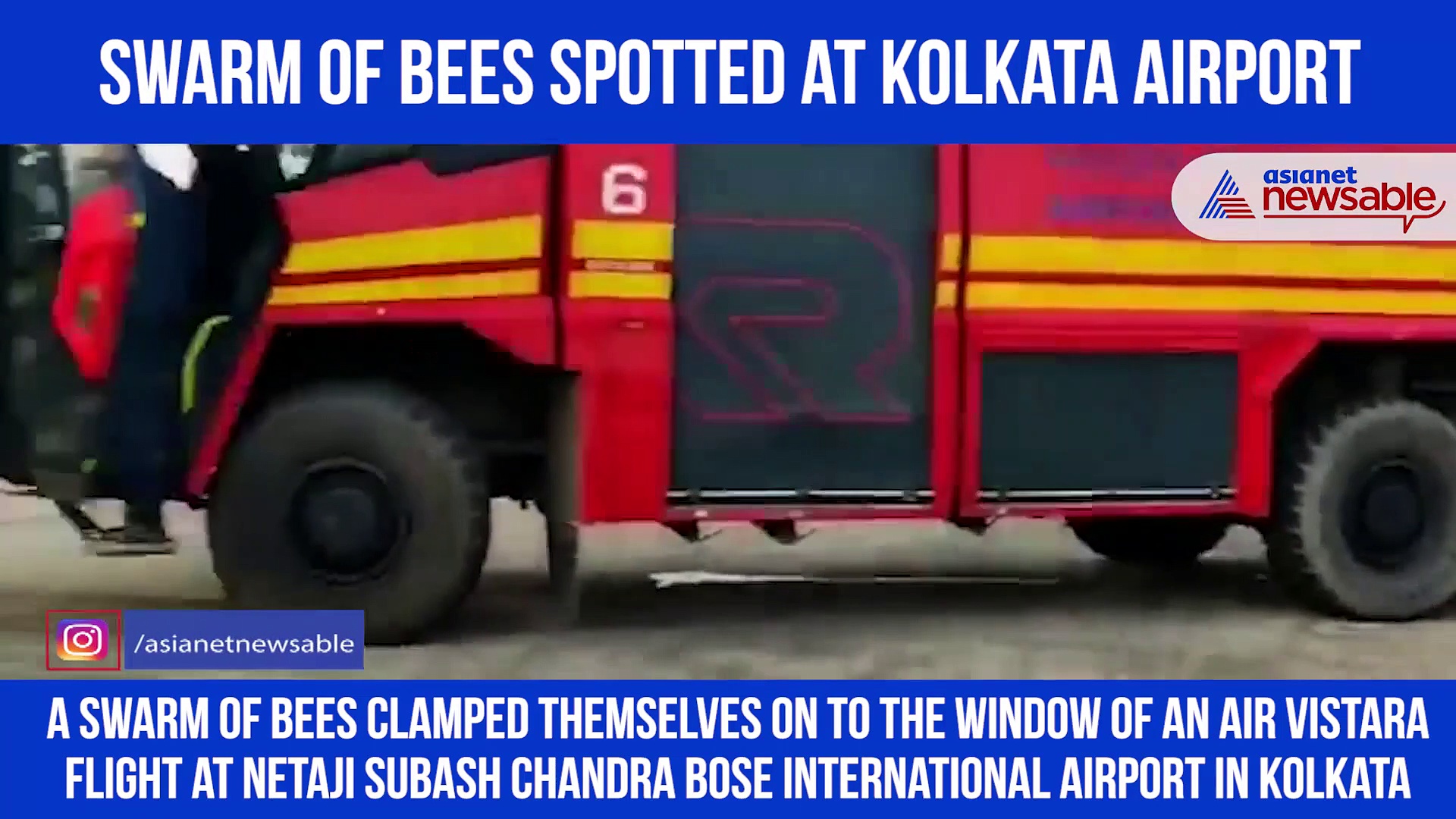 Swarm of bees attack plane at Kolkata Airport, video goes viral