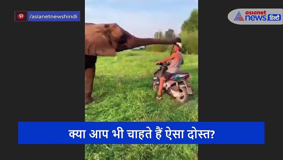 इस हाथी ने बदल है शख्स की पूरी दुनिया, वीडियो देख आप भी हो जाएंगे हैराने, मांगेगे दुआ