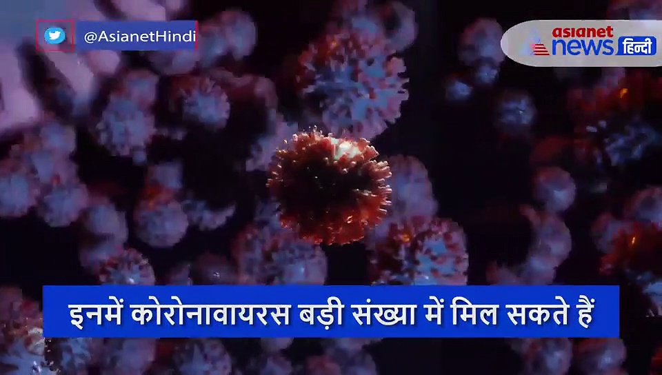 नई रिसर्च में दावा, पालतू जानवरों में फैल सकता है कोरोनावायरस, आने में समय में ये बड़ा खतरा