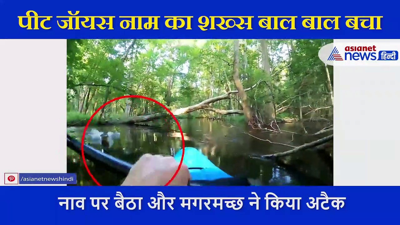नाव में सवार शख्स पर मगरमच्छ ने किया अटैक, कैमरे में कैद हुआ दिल दहला देने वाला वीडियो