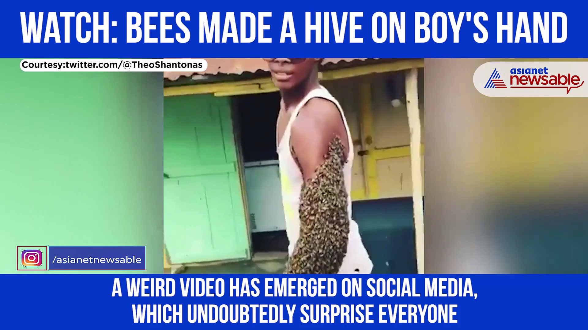 Boy transports bee colony by carrying the queen is his fist; shocking video goes viral