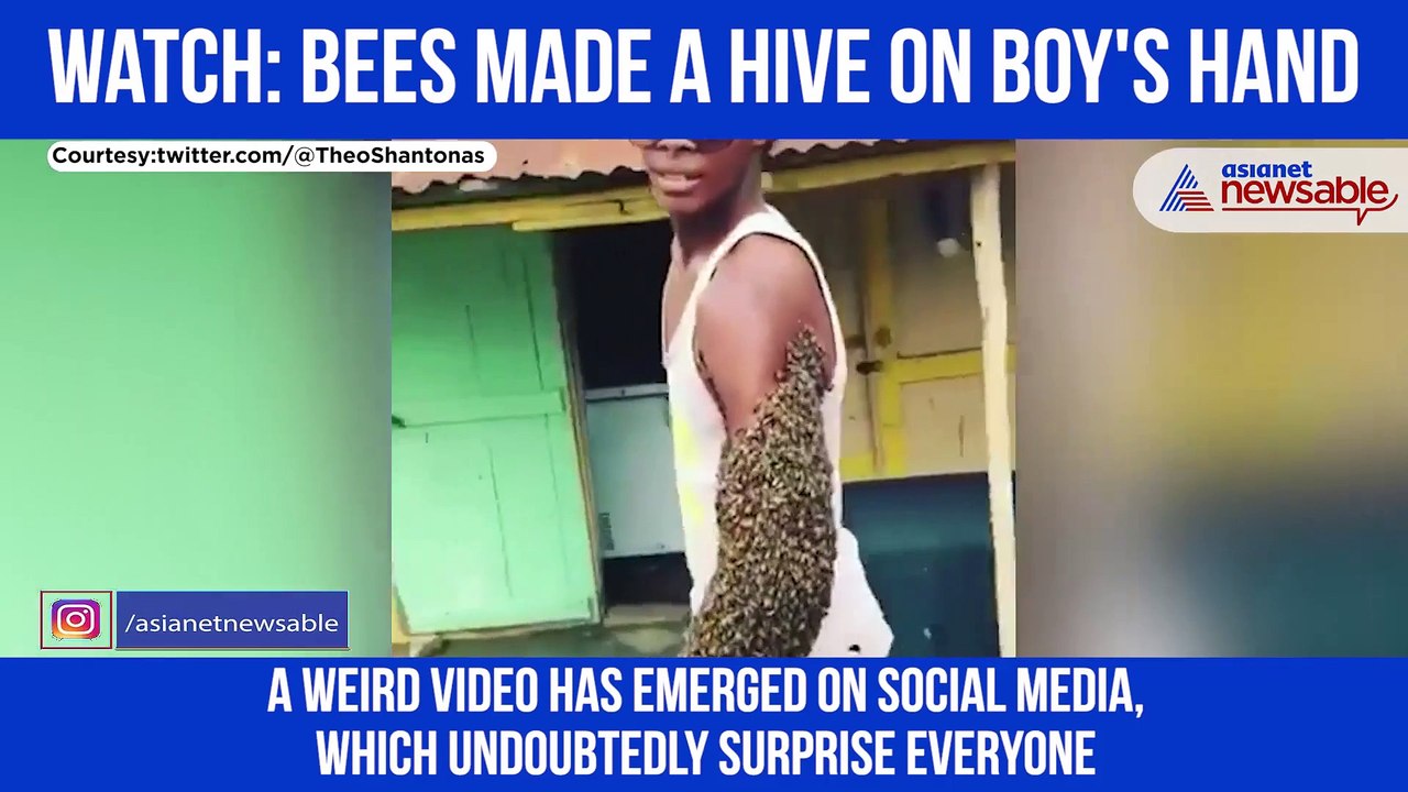 Bees on Hand