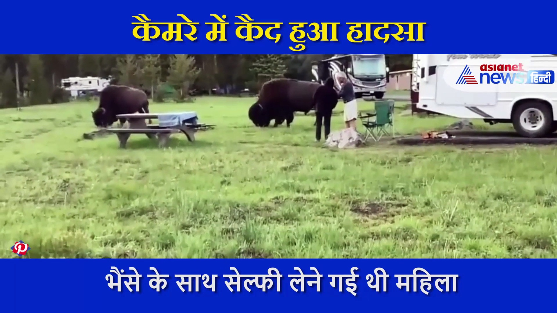 2 सेकंड में भैंसे ने बुढ़िया को करवा दी आसमान की सैर, जंगली दैत्य के साथ गई थी सेल्फी लेने