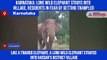 Karnataka: Lone wild elephant strays into village, residents in fear of getting trampled