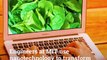 Scientists at MIT 'teach' spinach to send emails to help fight climate change