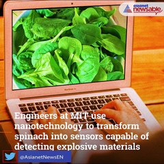 Scientists at MIT 'teach' spinach to send emails to help fight climate change