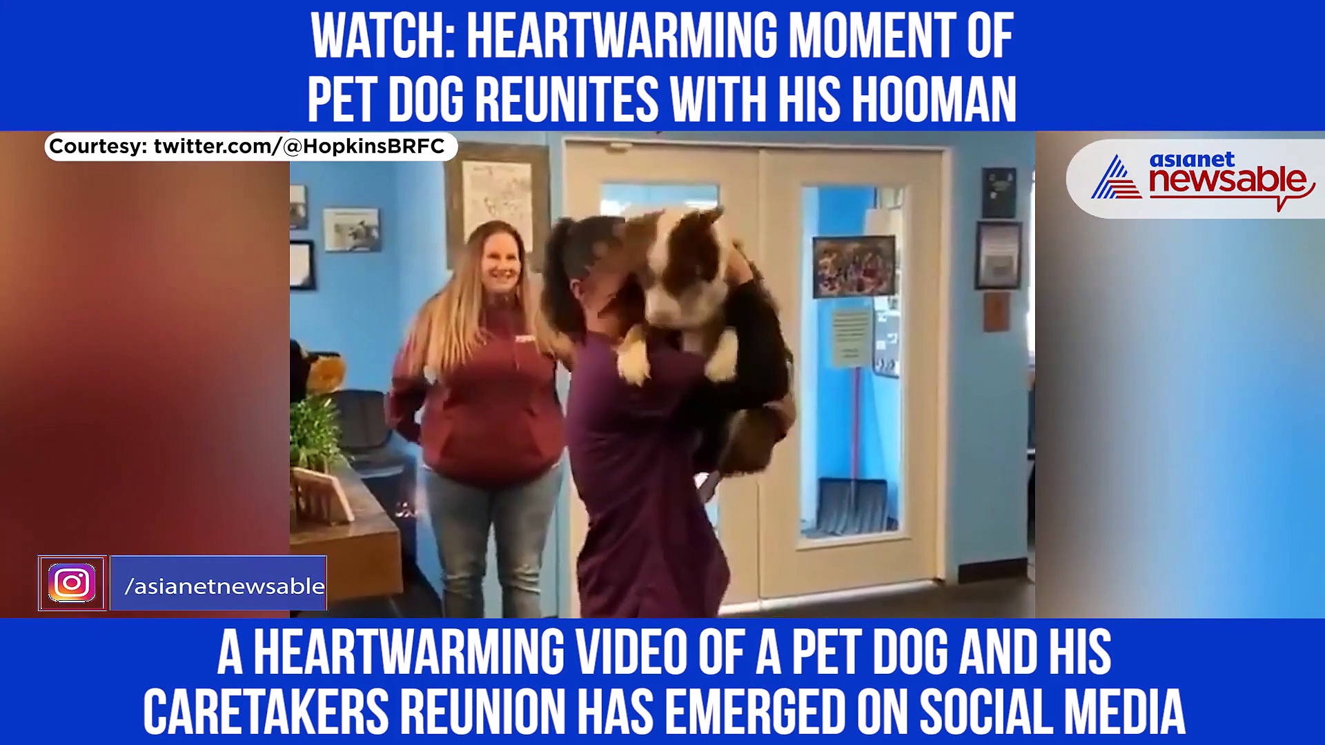 Dog reunites with owner, heartwarming video goes viral