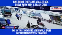 Bike Borne Thief