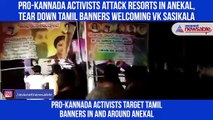 Pro Kannada Activists