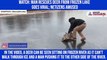 Watch: Man rescues deer from frozen lake goes; netizens amused
