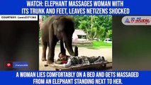 Watch: Elephant massages woman with its trunk and feet, leaves netizens shocked