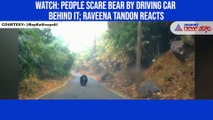 Watch: People scare bear by driving car behind it; Raveena Tandon reacts