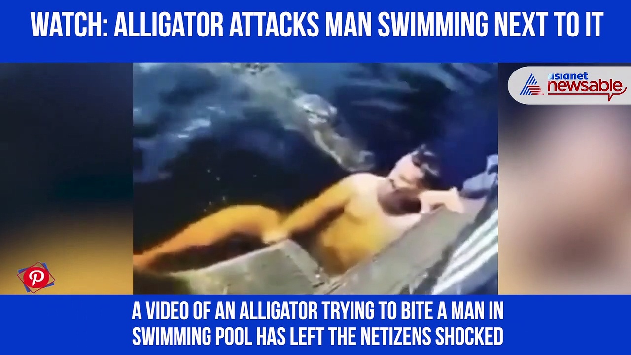Alligator attacks a man in the swimming pool; video goes viral