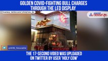 Bull Charges Out