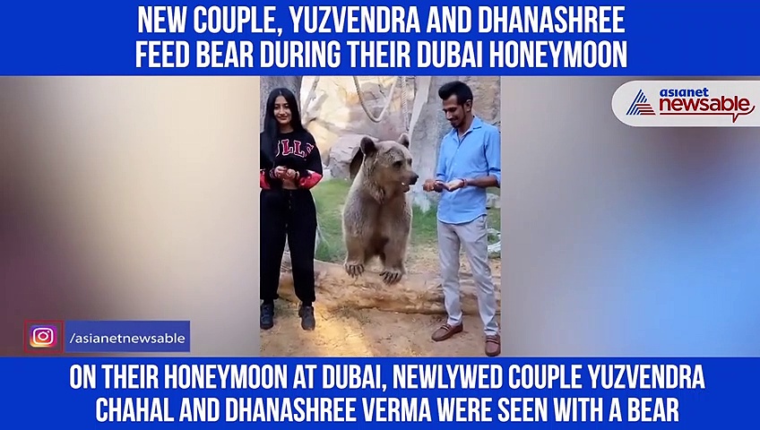 New couple, Yuzvendra and Dhanashree feed bear during their Dubai honeymoon