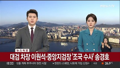[속보] 대검차장 이원석·중앙지검장 '조국 수사' 송경호