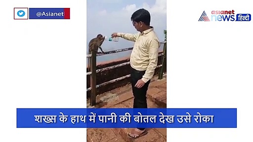शख्स के हाथ में पानी की बोतल देख प्यासे बंदर ने रोका रास्ता,  ऐसे गट-गट पी गया पानी