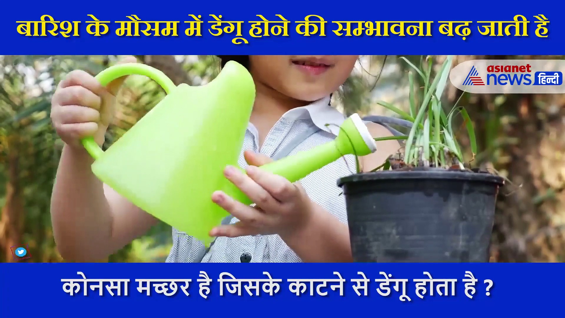 मौसम बदलते ही डेंगू होने का खतरा, एक्सपर्ट ने बताए कैसे करें बचाव