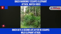 Biker narrowly escapes elephant attack, watch video